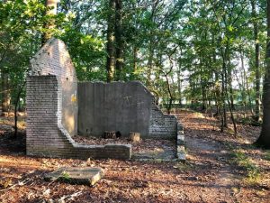 Badhuisje in Brandsma's bos te Vlierden